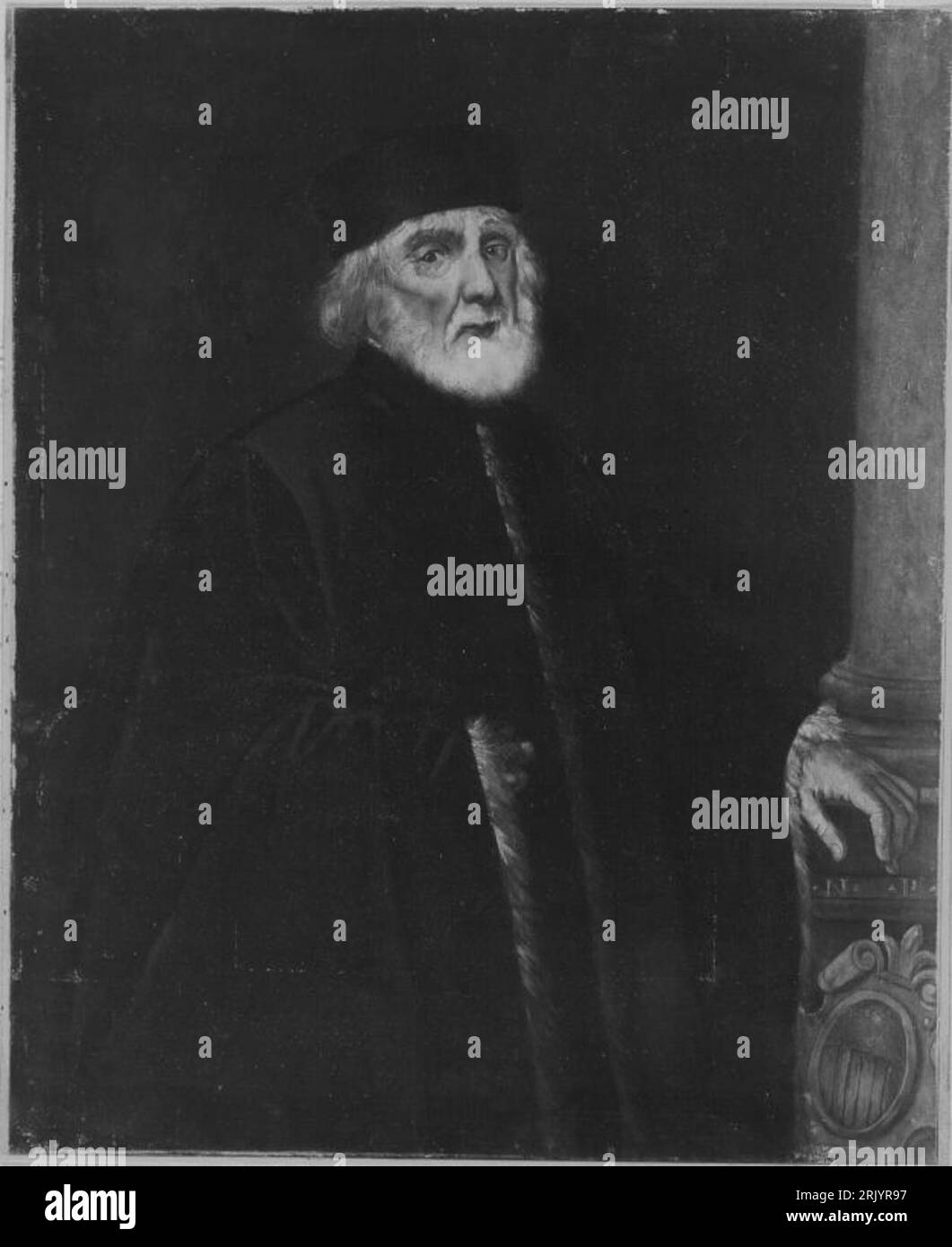 August wolf hi-res stock photography and images - Alamy