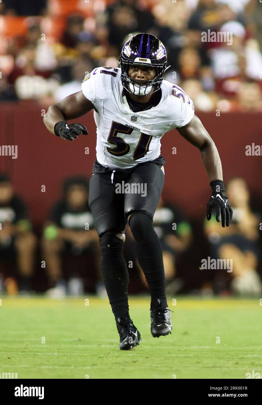 Baltimore Ravens linebacker Josh Ross (51) runs during an NFL preseason  football game against the Washington Commanders, Monday, August 21, 2023 in  Landover. (AP Photo/Daniel Kucin Jr Stock Photo - Alamy