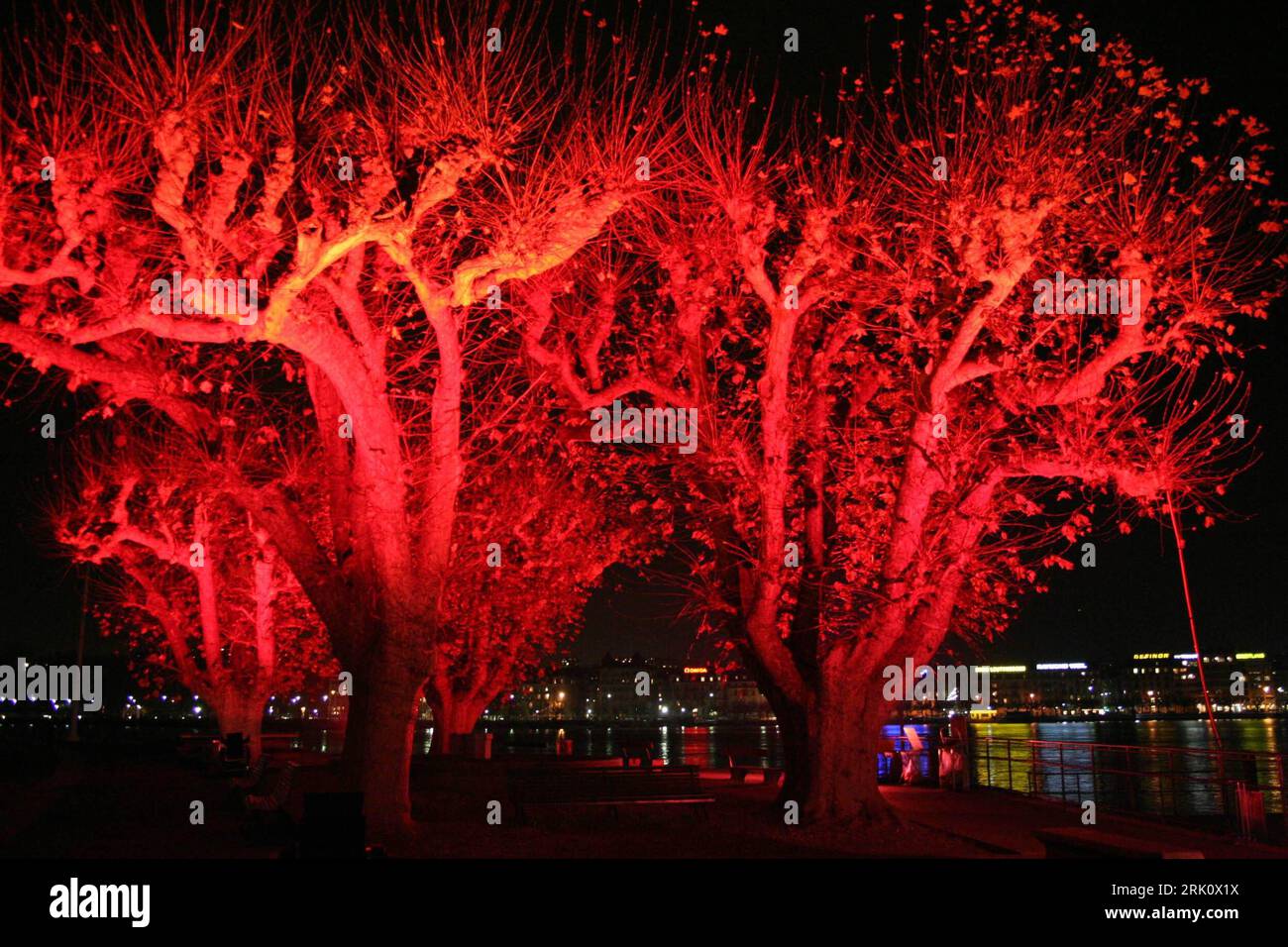 Bildnummer: 52805072 Datum: 28.11.2008 Copyright: imago/Xinhua Rot beleuchtete Bäume anlässlich des Geneva Trees and Lights Festival in Genf