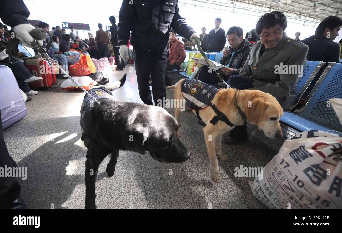 Bildnummer: 52851055  Datum: 17.01.2009  Copyright: imago/Xinhua Polizeihunde im Einsatz an der Kunming Railway Station in Kunming in der Provinz Yunnan PUBLICATIONxNOTxINxCHN, Personen , Tiere; 2009, China, Kunming, Polizeispürhund, Spürhund, hundestaffel, Sicherheit, Sicherheitskontrolle, KOntrolle, Gepäckkontrolle, Hund, Bahnhof, Gepäck; , quer, Kbdig, Gruppenbild,  , Polizei, Staat,  , Asien    Bildnummer 52851055 Date 17 01 2009 Copyright Imago XINHUA Police dogs in Use to the Kunming Railway Station in Kunming in the Province Yunnan PUBLICATIONxNOTxINxCHN People Animals 2009 China Kunmin Stock Photo