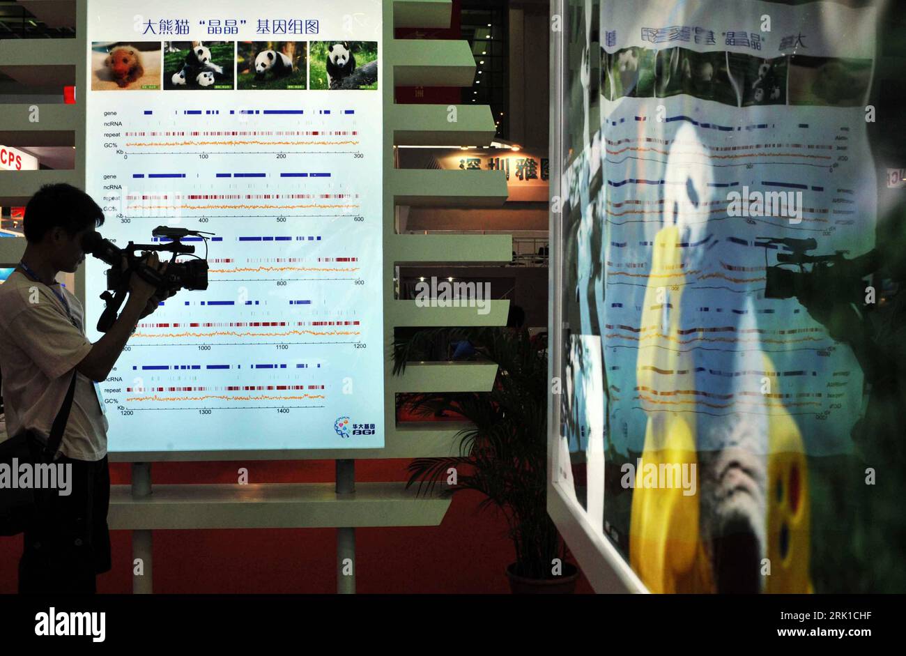 Bildnummer: 52910560  Datum: 11.10.2008  Copyright: imago/Xinhua Besucher mit Videokamera auf der - Hi-Tech Fair 2008 - in Shenzhen, China - PUBLICATIONxNOTxINxCHN, Personen , Objekte; 2008, Shenzhen, Messe, Elektronikmesse, Messebesucher, filmen, Kamera; , quer, Kbdig, Einzelbild,  ,  , Asien o0 Wirtschaft    Bildnummer 52910560 Date 11 10 2008 Copyright Imago XINHUA Visitors with Video camera on the Hi Tech Fair 2008 in Shenzhen China PUBLICATIONxNOTxINxCHN People Objects 2008 Shenzhen trade Fair Electronics Fair Fair visitors films Camera horizontal Kbdig Single Asia o0 Economy Stock Photo