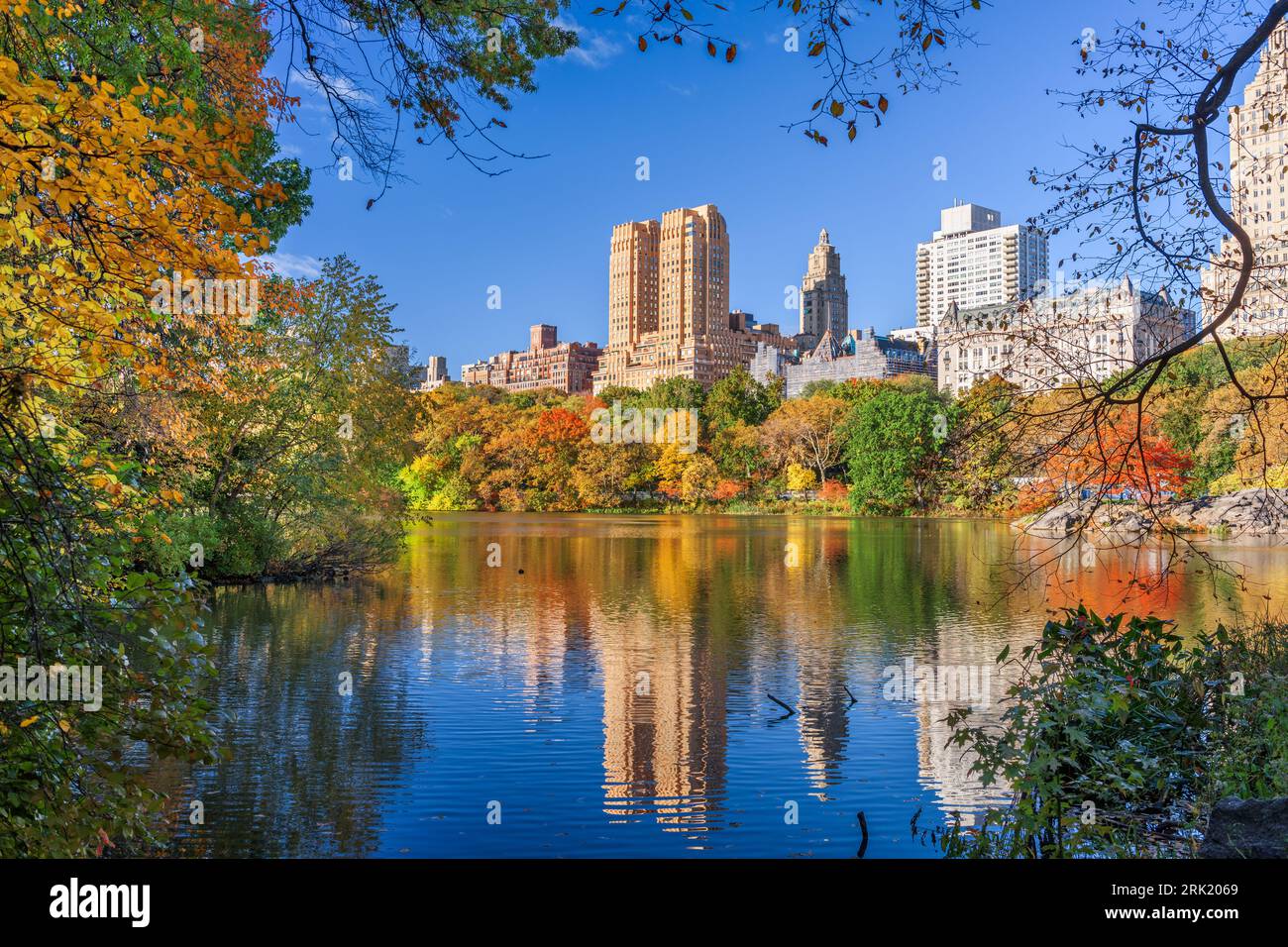 Central Park during autumn in New York City Stock Photo - Alamy