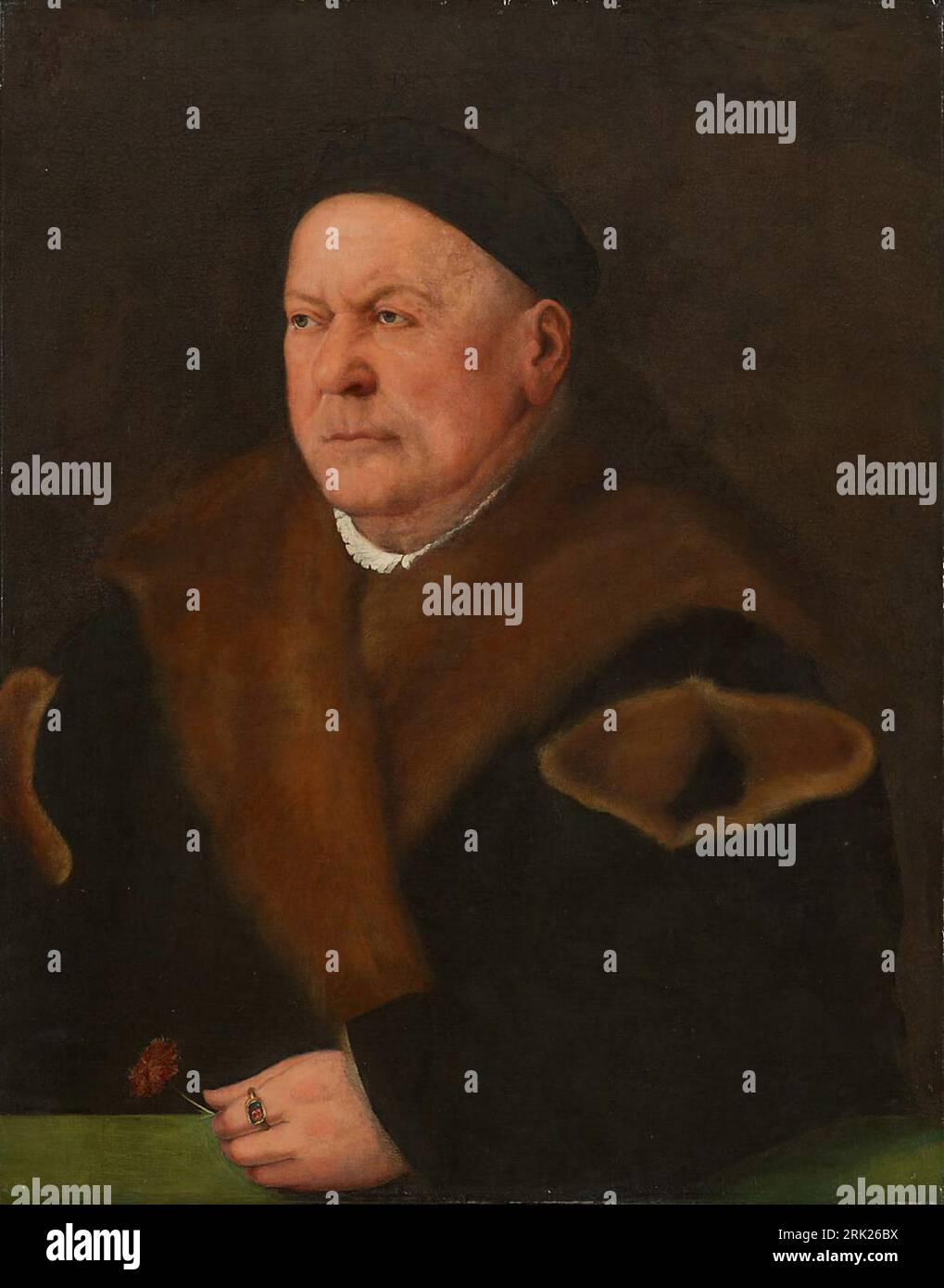 Der Augsburger Patrizier Ulrich Sulzer (1463-1545) 1538 by Christoph Amberger Stock Photo