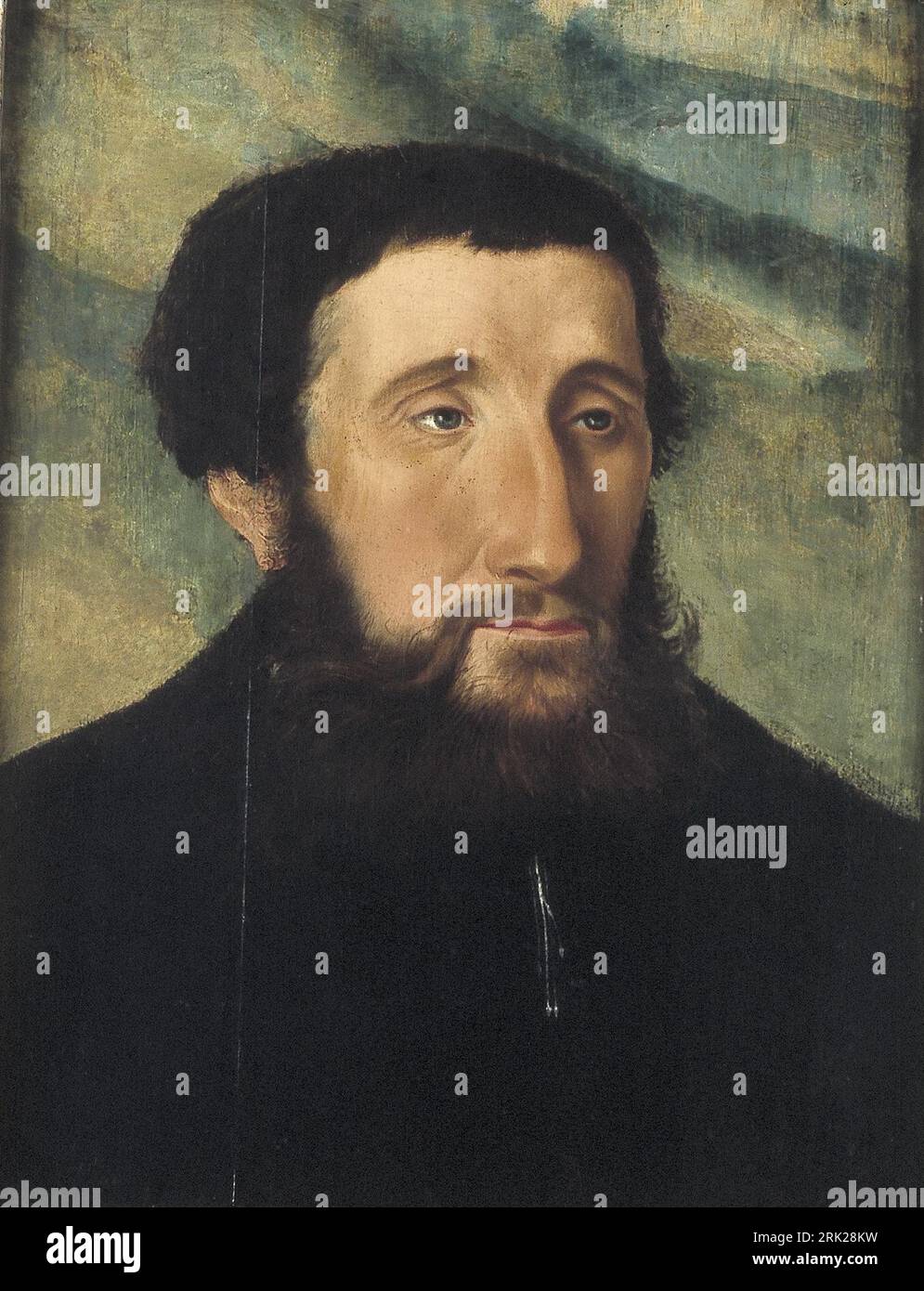 Portrait of a Man between circa 1519 and circa 1559 by Jan Cornelisz ...