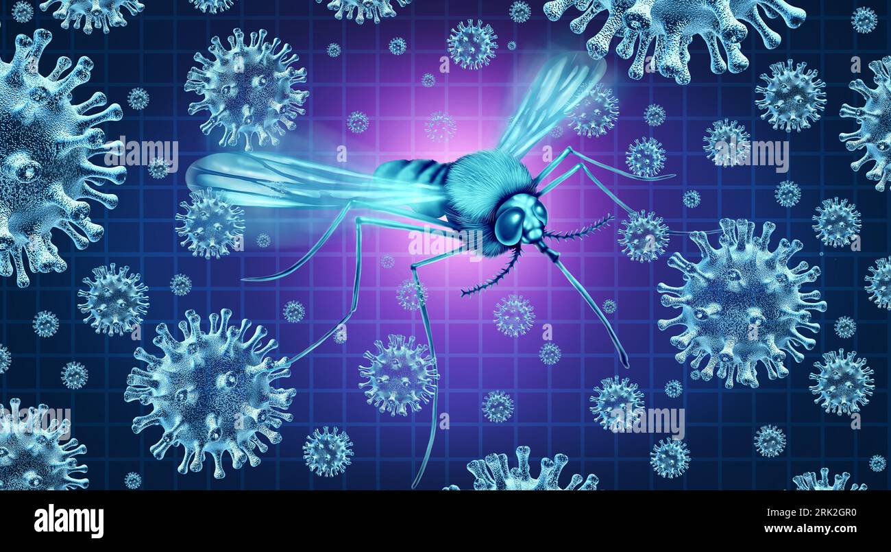 Mosquito Borne Virus risk like Zika Dengue and Malaria spread through