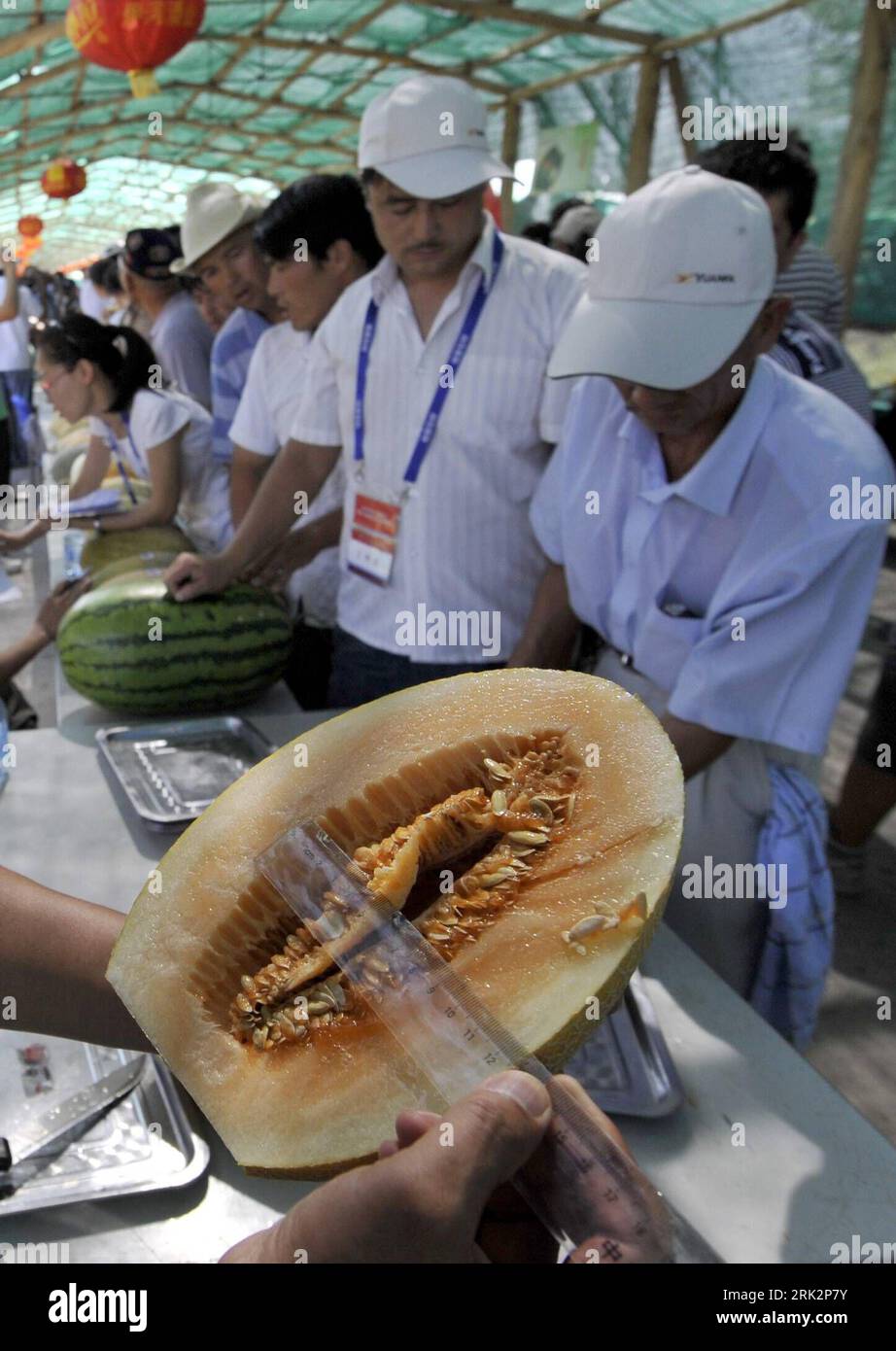 Bildnummer: 53231587  Datum: 29.07.2009  Copyright: imago/Xinhua (090729) -- HAMI(XINJIANG), July 29, 2009 (Xinhua) -- A judge measures a hami melon in a melon contest held in Hami City, northwest China s Xinjiang Uygur Autonomous Region, July 29, 2009. Farmers from all over the city brought their harvests of hami melons, water melons and musk melons to attend the 6th melon contest in Hami on Wednesday, which attracted a great deal of visitors from home and abroad.     (Xinhua/Shen Qiao) (lyi) (3)CHINA-HAMI-MELON-CONTEST (CN)  PUBLICATIONxNOTxINxCHN  Melonen Wettbewerb Melonenwettbewerb kbdig Stock Photo