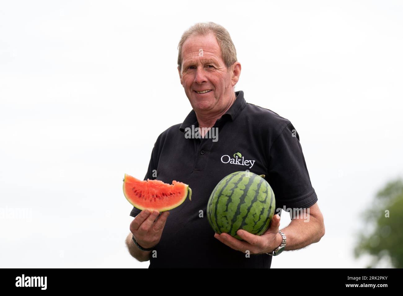 Nick Molesworth, manager of Oakley Farms in Wisbech, Cambridgeshire which has grown an estimated 11,000 watermelons this year, setting a new UK production record despite a rainy July. Picture date: Wednesday August 23, 2023. Stock Photo