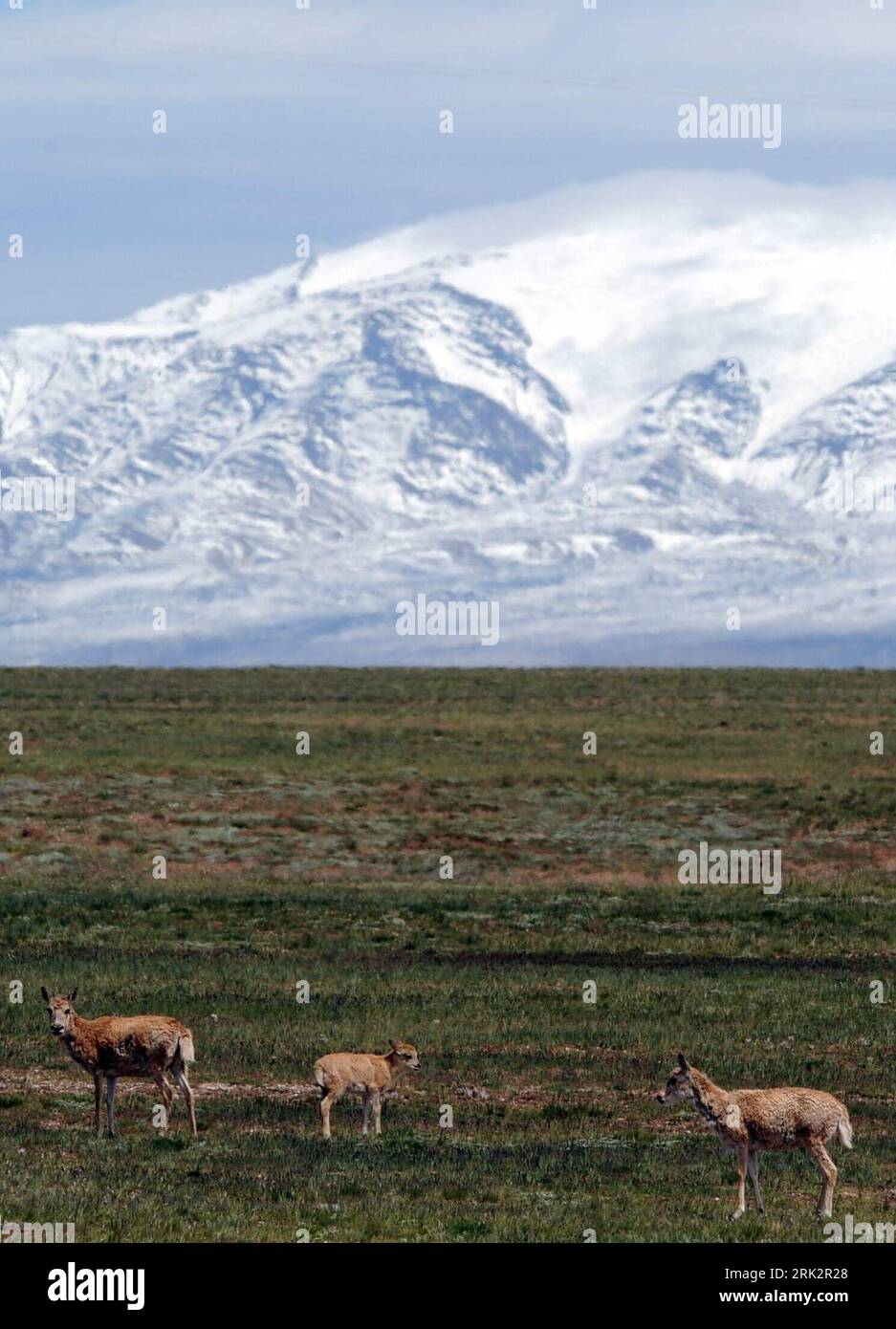 Snow-capped mountains of Kunlun mountain range and turquoise