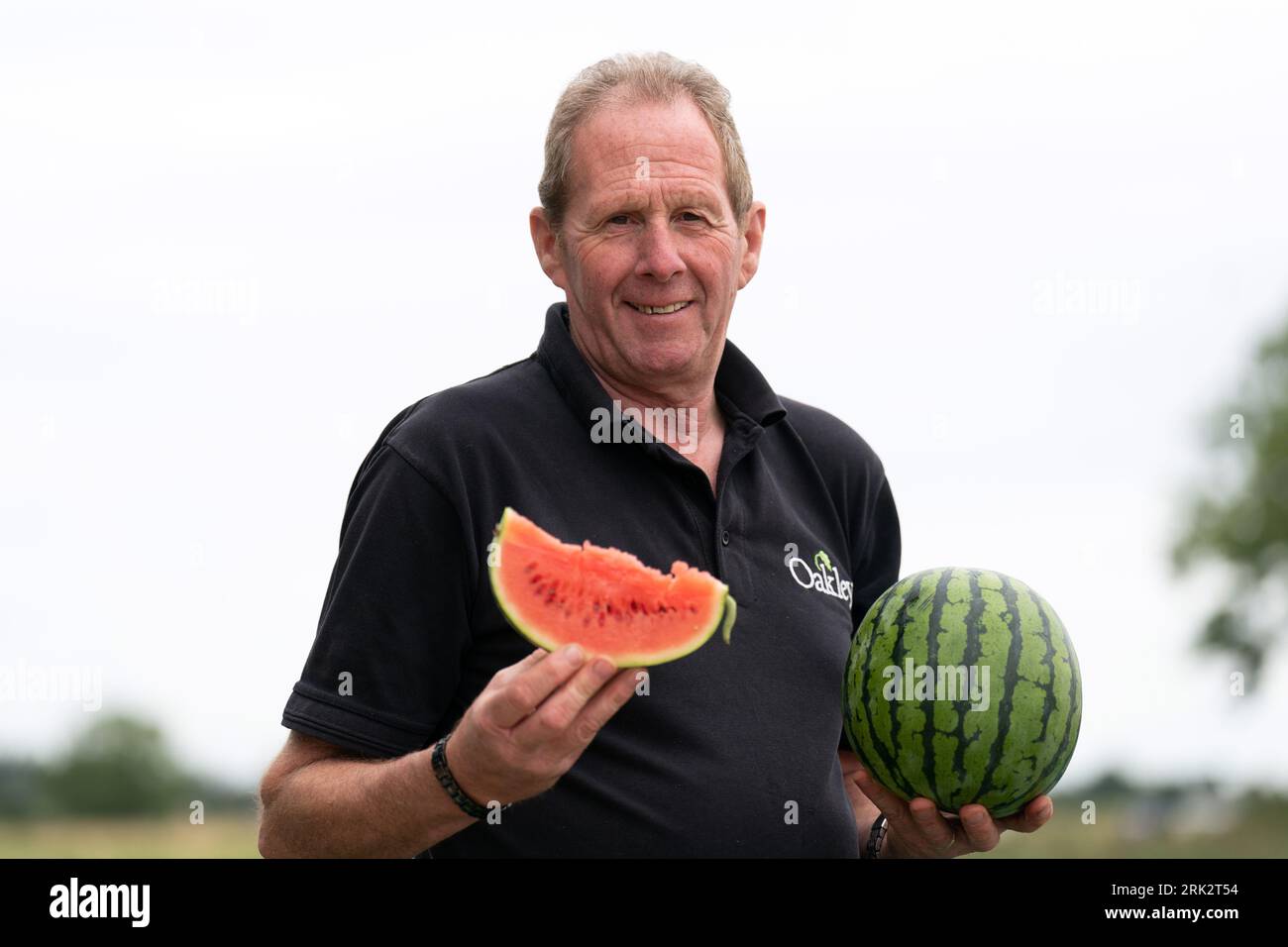 Nick Molesworth, manager of Oakley Farms in Wisbech, Cambridgeshire which has grown an estimated 11,000 watermelons this year, setting a new UK production record despite a rainy July. Picture date: Wednesday August 23, 2023. Stock Photo