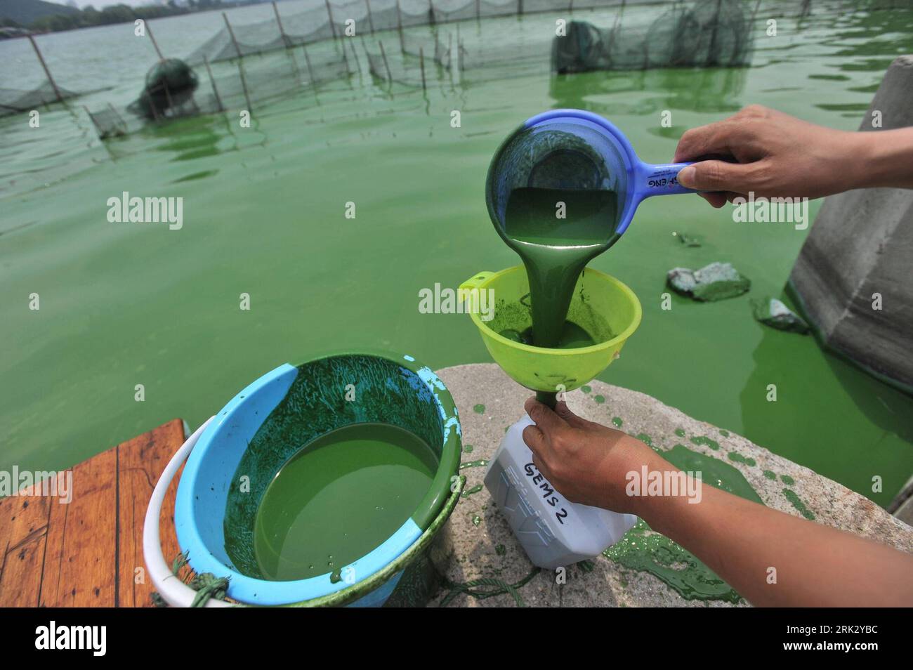 Bildnummer: 53268085  Datum: 17.08.2009  Copyright: imago/Xinhua (090817) -- WUHAN, Aug. 17, 2009 (Xinhua) -- An environment monitoring staff collects water sample of a lake polluted by cyanophyta algal in Wuhan, capital city of central China s Hubei Province, Aug. 17, 2009. Local environment authority is monitoring the lake water to prevent the spread of pollution. (Xinhua) (xxh) (2)CHINA-WUHAN-POLLUTION (CN)  PUBLICATIONxNOTxINxCHN  Fotostory blaugrüne Algen Alge Algenblüte Verschmutzung Wasserverschmutzung Gewässer premiumd Highlight kbdig xsk  2009 quer o0 Probe, Wasserprobe, wasser    Bil Stock Photo