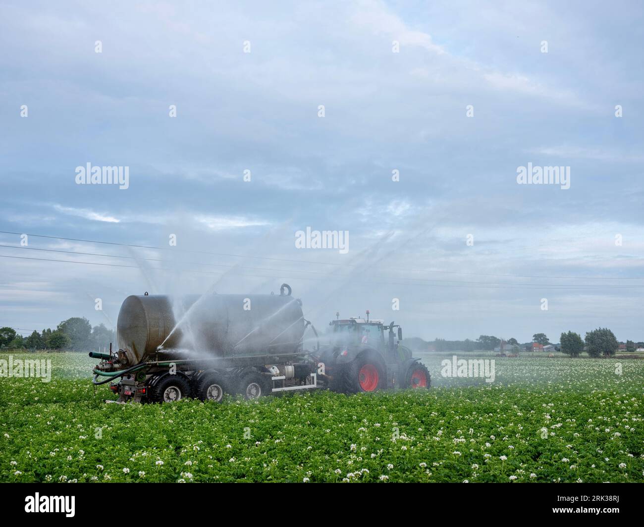tractor with sprinkler on potatoe field irrigates dry soil in belgium near brugge and oostende Stock Photo