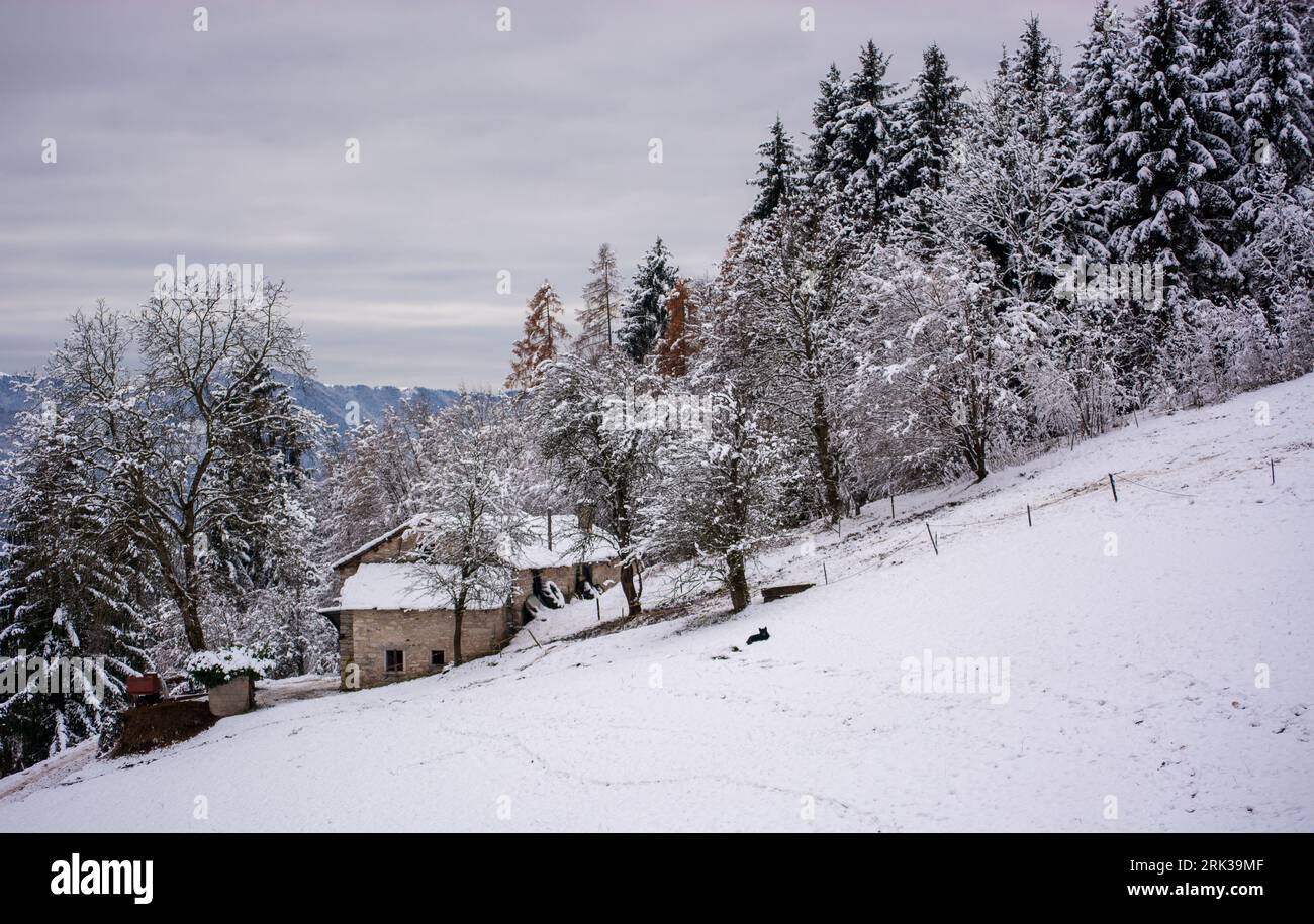 small houses covered in snow in the Belluno mountains Stock Photo - Alamy