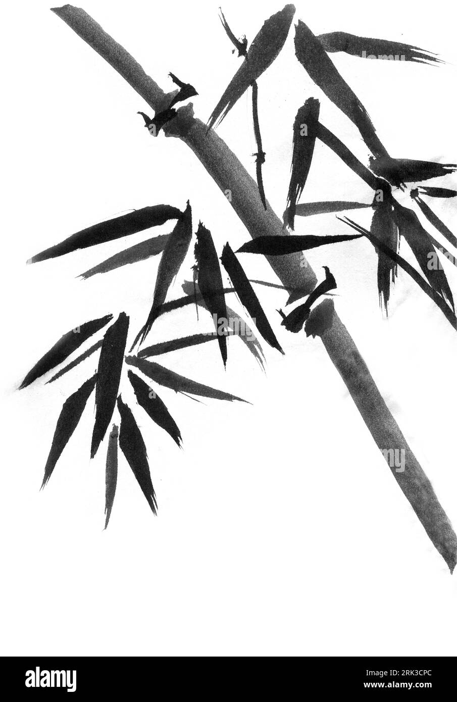 Bamboo trees handdrawn, ink, Japanese painting style sumie Stock