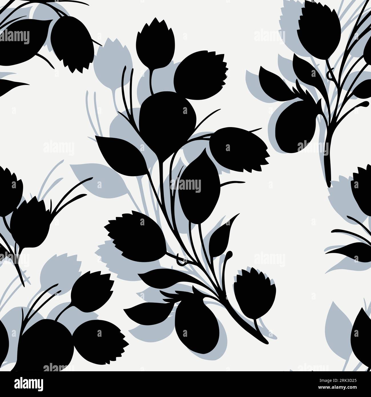 Vector black ink hand drawn olive twig hi-res stock photography and ...