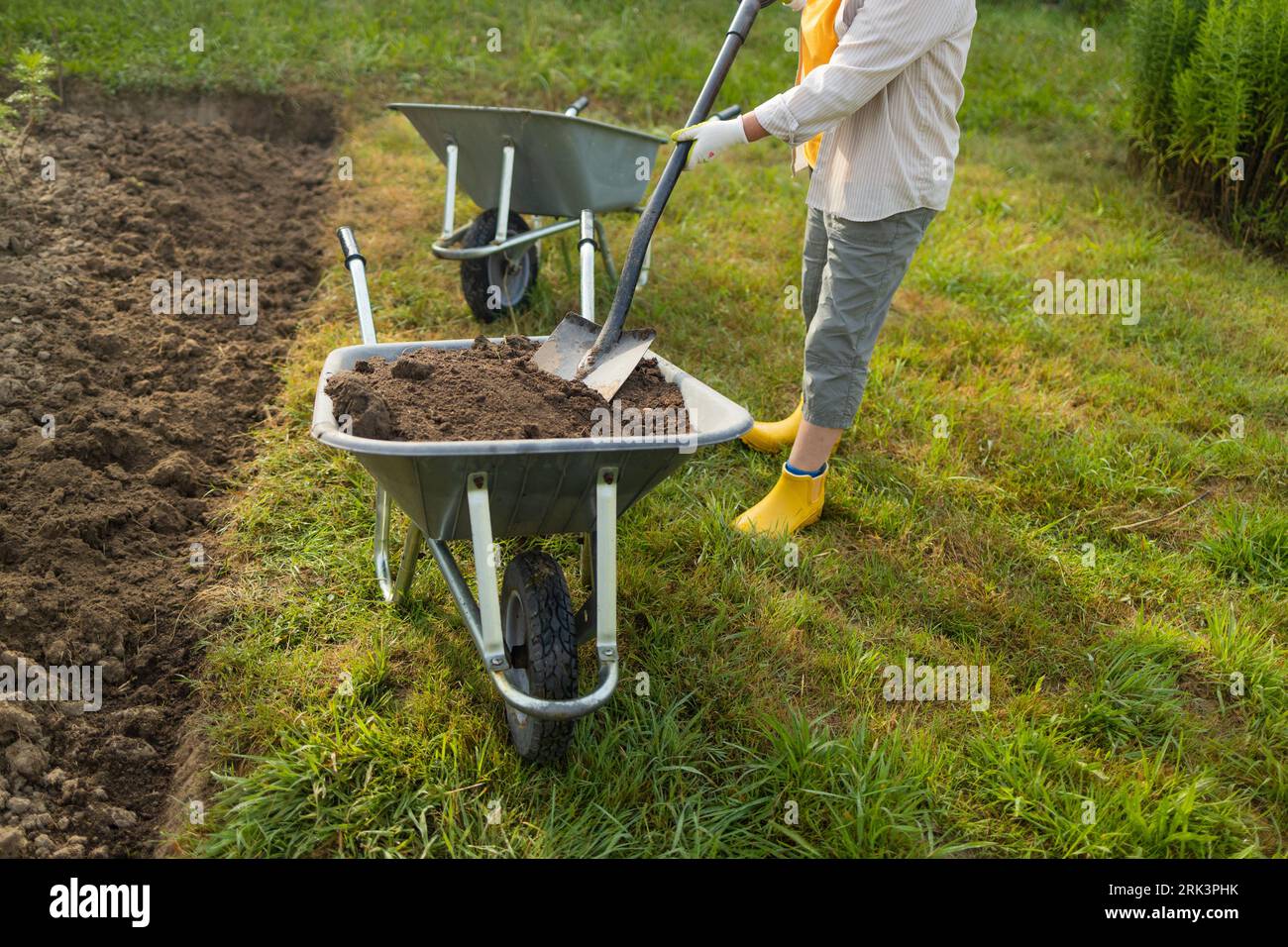 50s senior farmer woman with a shovel unloads a wheelbarrow filled with ...