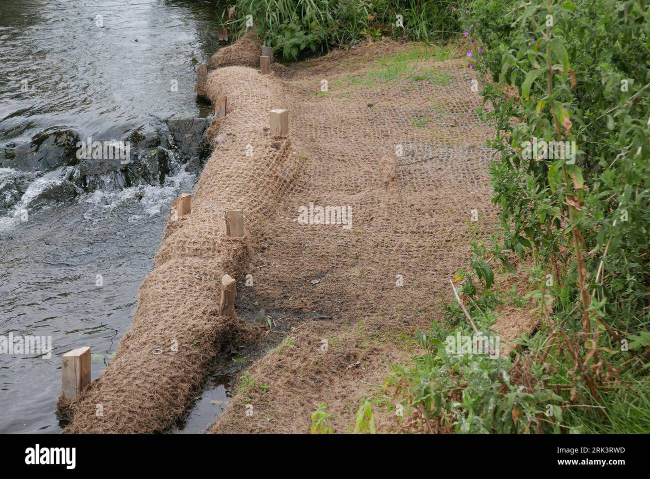 Anti erosion matting in place along the River Wye. UK. 2023 Stock Photo Alamy