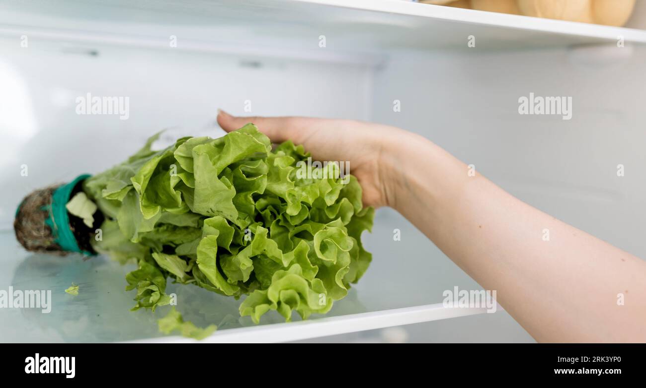 woman's hand takes a salad from the refrigerator shelf. healthy nutrition and diet Stock Photo