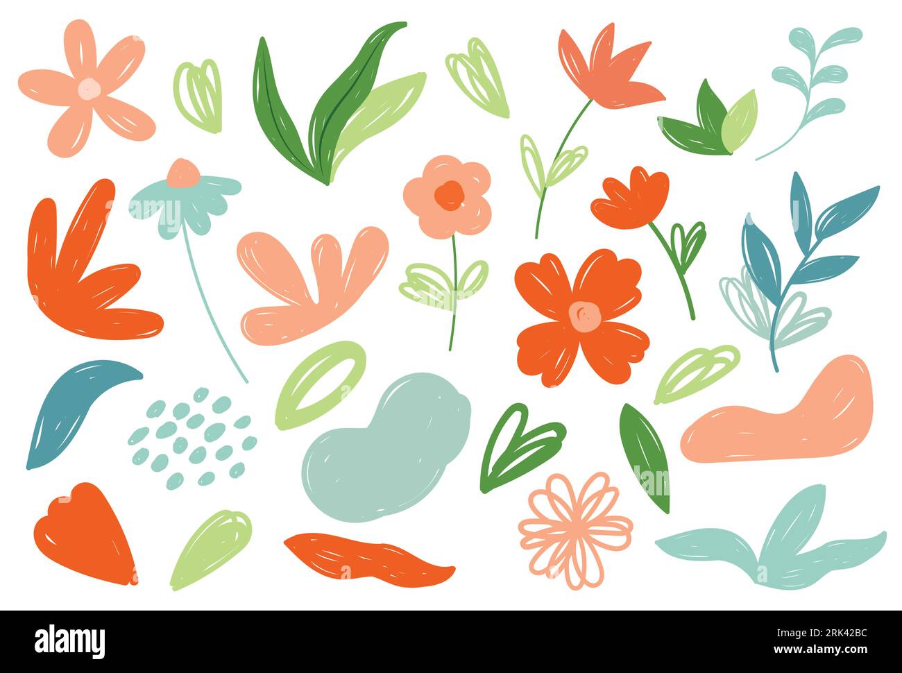 Flowers in hand drawn style set. Floral and leaves elements collection ...