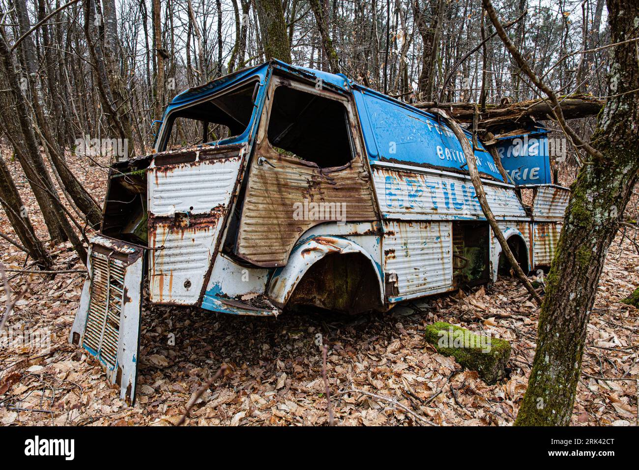 Rusted van wreckage in forest Stock Photo