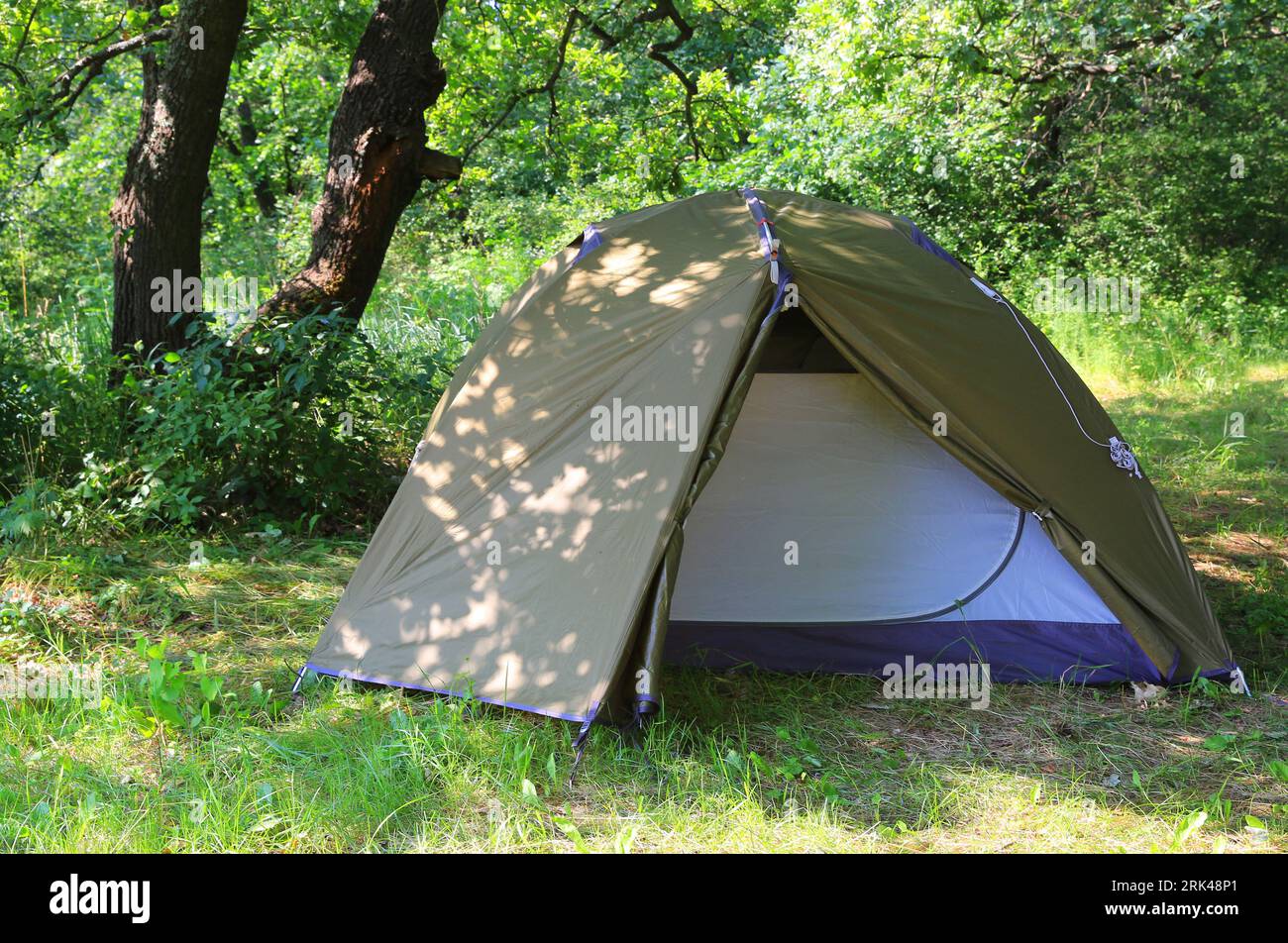 Tourist tent on meadow in forest Stock Photo - Alamy