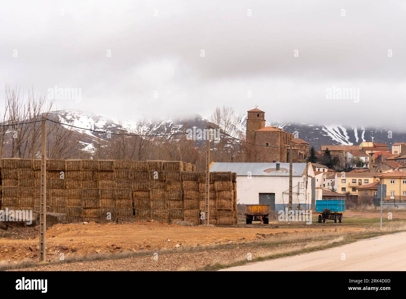 Discover the breathtaking beauty of Borobia, Soria with this stunning panoramic photograph featuring snow-capped Moncayo mountain and charming alpaca Stock Photo