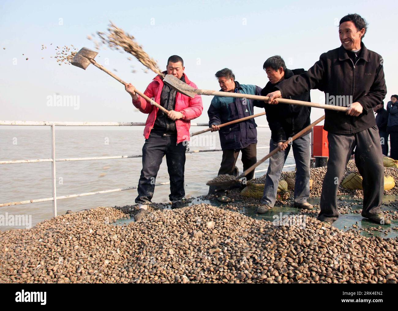 Bildnummer: 53620449  Datum: 22.11.2009  Copyright: imago/Xinhua (091123) -- LIANYUNGANG, Nov. 23, 2009 (Xinhua) -- Staff workers shovel the seashell animals into the sea during an activity of marine shell animals breeding through releasing into the sea, at the Haizhoubay Fishery Ground in Lianyungang, east China s Jiangsu Province, Nov. 22, 2009. A total of 42.8 tons of cash seashell, among them short necked clam, Cyclina Sinesis Gmelin, Mercenaria Linnaeus, and scapharca subcrenata, are released into the sea for natural reproduction in this winter which is billed as being conducive to amelio Stock Photo