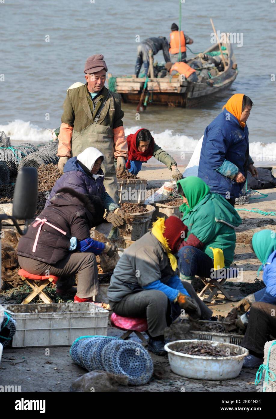 Bildnummer: 53649460  Datum: 06.12.2009  Copyright: imago/Xinhua (091207) -- WEIHAI, Dec. 7, 2009 (Xinhua) -- A man looks on as fisherwomen operate as they prepare to farm the young scallops in the sea near Fenggang village of Weihai city, east China s Shandong Province, on Dec. 6, 2009. The coastal city of Weihai boasts an annual yield of 120 tons of sea food. (Xinhua/Li Ziheng) (clq) (2)CHINA-SHANDONG-WEIHAI-FISHING (CN) PUBLICATIONxNOTxINxCHN Fischfang kbdig xcb 2009 hoch  o0 Wirtschaft, Fischerei, Arbeitswelten o00 Fischer, Muschel, Muscheln    Bildnummer 53649460 Date 06 12 2009 Copyright Stock Photo