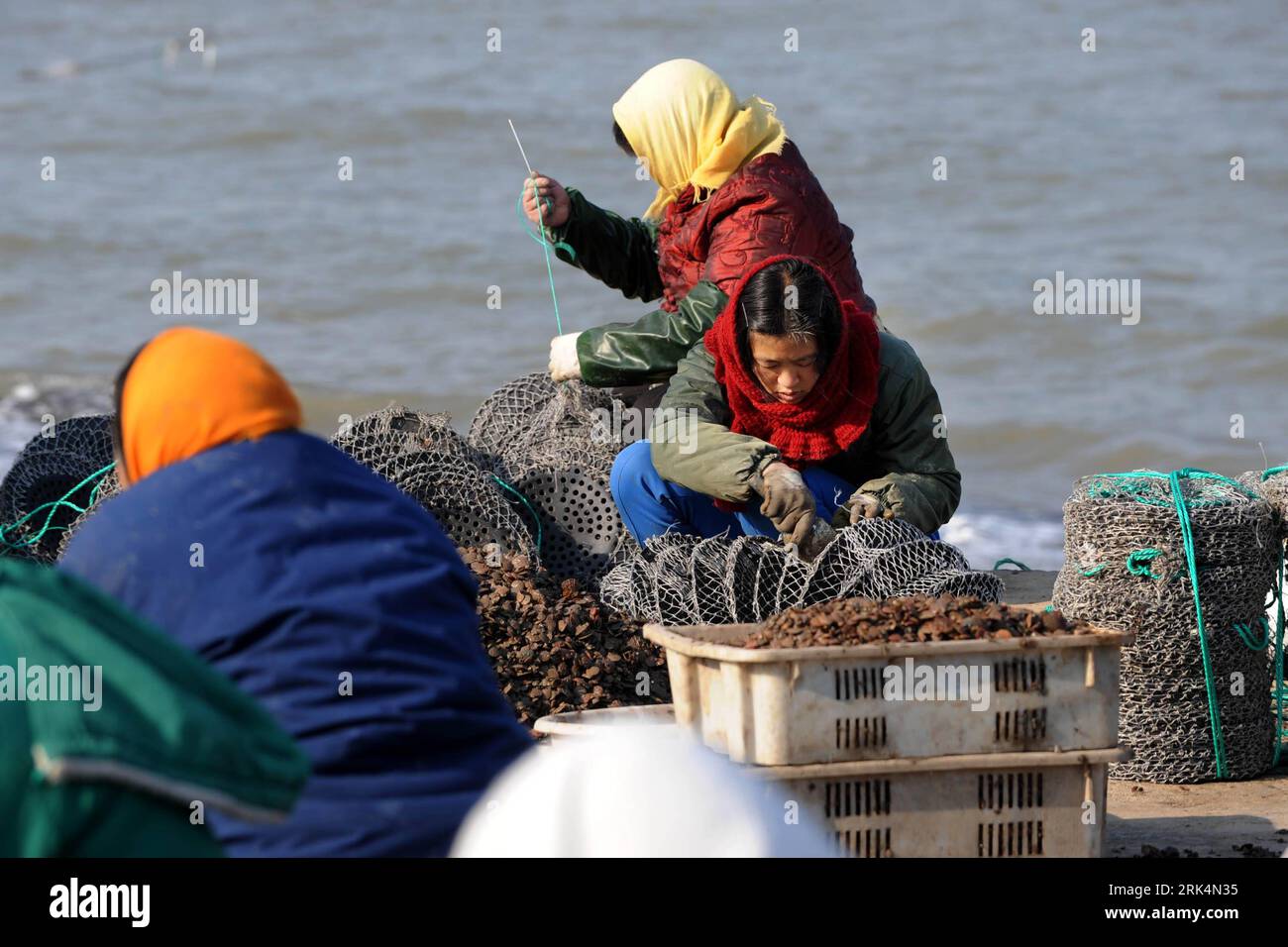 Bildnummer: 53649459  Datum: 06.12.2009  Copyright: imago/Xinhua (091207) -- WEIHAI, Dec. 7, 2009 (Xinhua) -- Fisherwomen operate as they prepare to farm the young scallops in the sea near Fenggang village of Weihai city, east China s Shandong Province, on Dec. 6, 2009. The coastal city of Weihai boasts an annual yield of 120 tons of sea food. (Xinhua/Li Ziheng) (clq) (1)CHINA-SHANDONG-WEIHAI-FISHING (CN) PUBLICATIONxNOTxINxCHN Fischfang kbdig xcb 2009 quer o0 Wirtschaft, Fischerei, Arbeitswelten o00 Fischer, Muschel, Muscheln    Bildnummer 53649459 Date 06 12 2009 Copyright Imago XINHUA  Weih Stock Photo