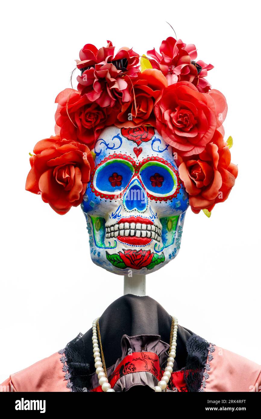 Dia de los Muertos (Day of the Dead) ornament, funny skull woman portrait isolated on white background, Halloween decor, Mexican traditional holiday Stock Photo