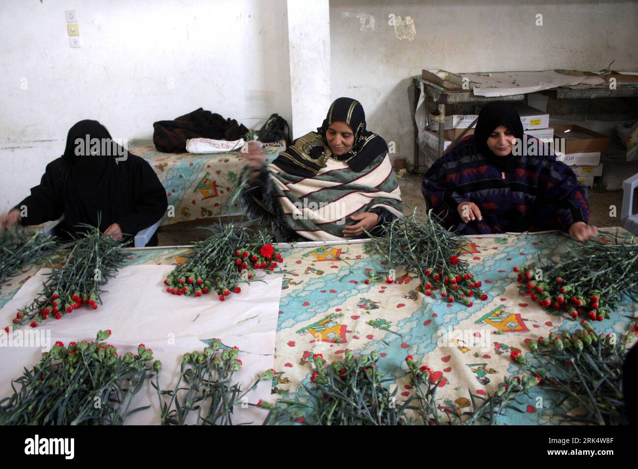 Bildnummer: 53672961  Datum: 16.12.2009  Copyright: imago/Xinhua (091216) -- GAZA, Dec. 16, 2009 (Xinhua) -- Palestinians select flowers at a farm after Israel granted approval for the export of Palestinian flowers from the Gaza Strip to the European market in Rafah, southern Gaza Strip, Dec. 16, 2009. Farmers in the strip enter their third year of export restrictions which were imposed by Israel after the Hamas took control of the strip. (Xinhua/Khaled Omar) (zhs) (3)GAZA-FLOWERS-ISRAEL PUBLICATIONxNOTxINxCHN Blumen Zucht Blumenzucht Nelkenzucht Nelken Export kbdig xub 2009 quer o0 Wirtschaft Stock Photo