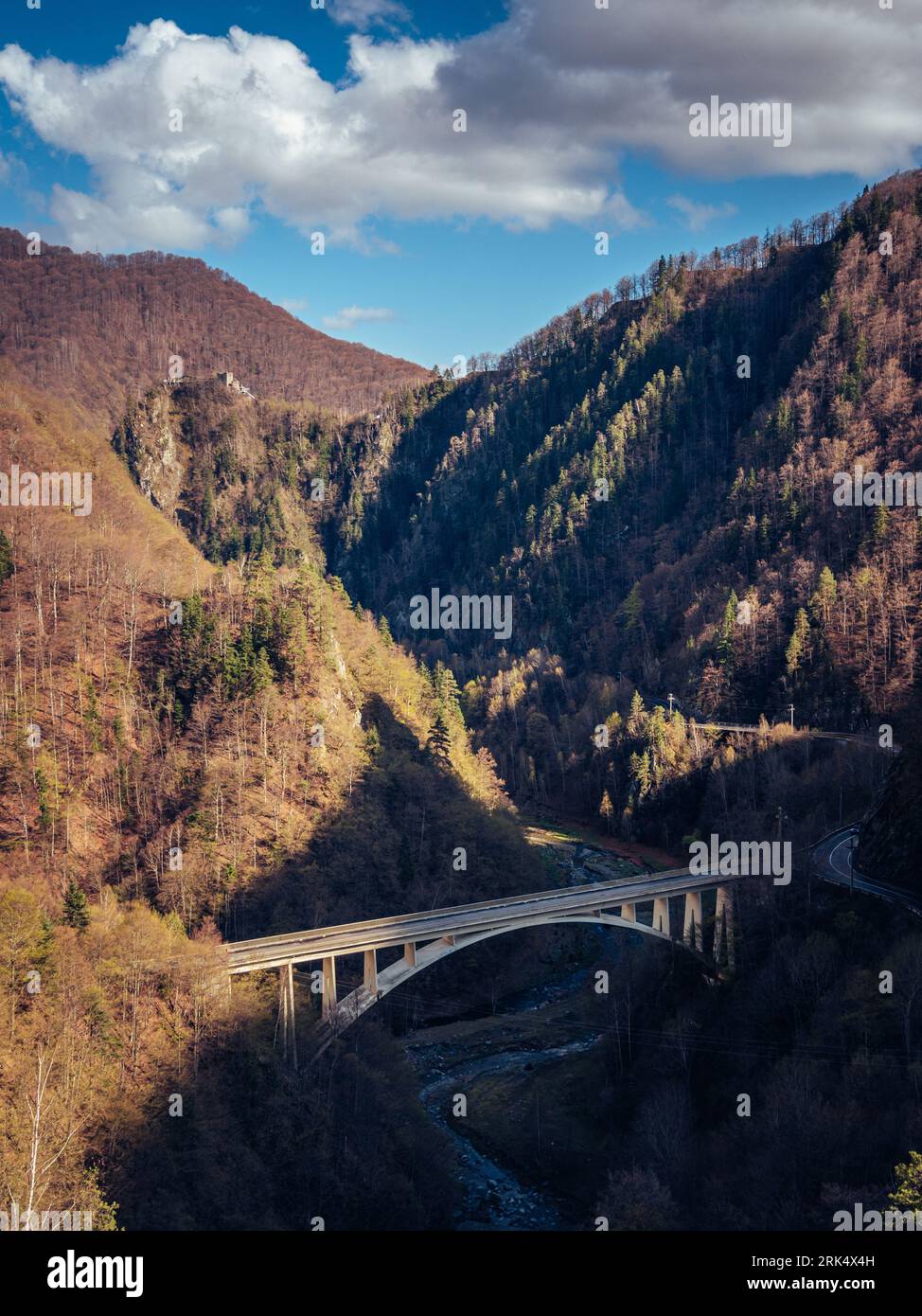 Dramatic shot of a bridge spanning a winding river, set amidst a lush forest of tall trees Stock Photo