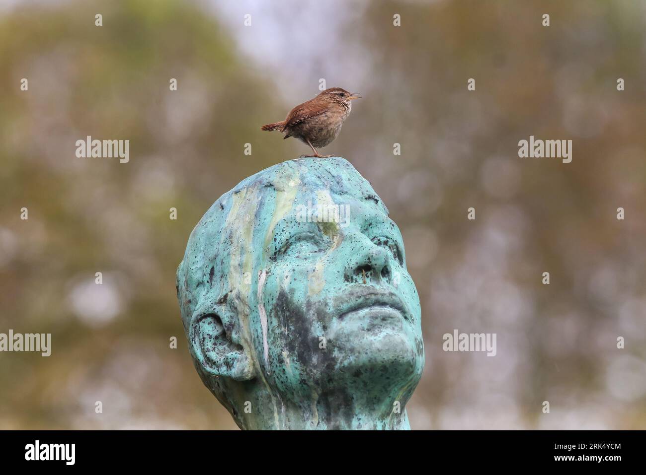 A small bird perched atop the head of a stone statue, looking around inquisitively Stock Photo