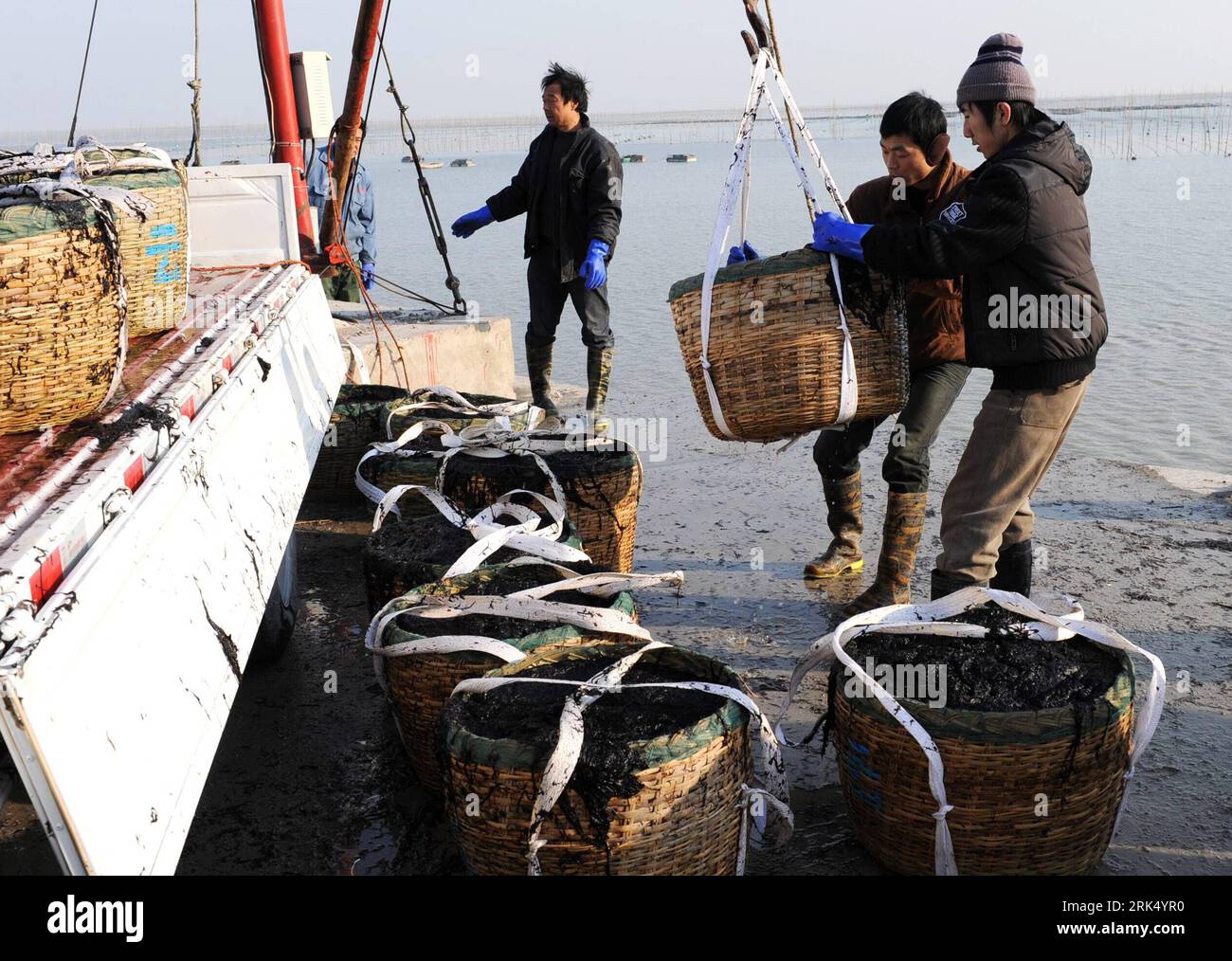 Bildnummer: 53680407  Datum: 20.12.2009  Copyright: imago/Xinhua (091220) -- LIANYUNGANG, Dec. 20, 2009 (Xinhua) -- Farmers move the harvested streak laver ashore in Lianyungang, a port city of east China s Jiangsu Province, Dec. 20, 2009. Over 6666 hectares of streak laver began to be harvested in the coastal vegetable gardens of Lianyungang in recent days. An industry chain has been developed in streak laver cultivation ranging from cultivation, processing to marketing abroad, providing a means of livelihood for local people. (Xinhua/Geng Yuhe) (zsc) CHINA-JIANGSU-VEGETABLE GARDEN-STREAK LAV Stock Photo