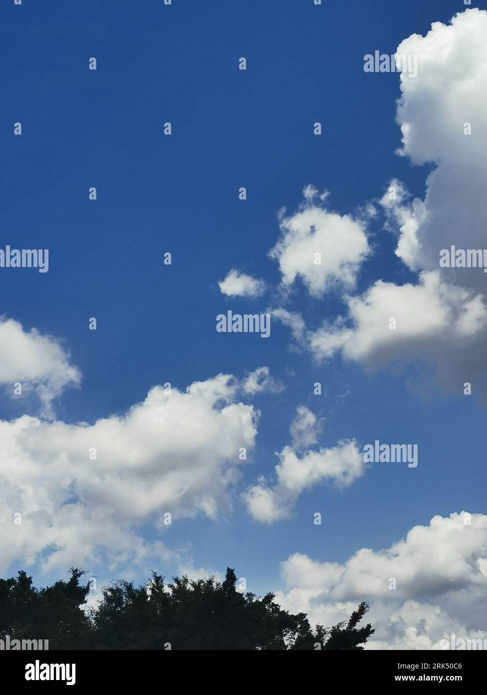 A Vertical shot of a vibrant blue sky with fluffy white clouds ...