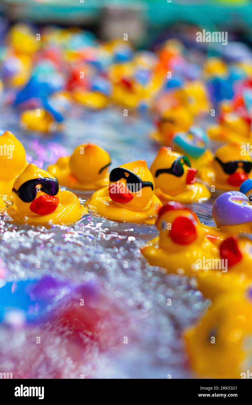 A closeup of rubber ducks in water at a carnival game stand Stock Photo Alamy