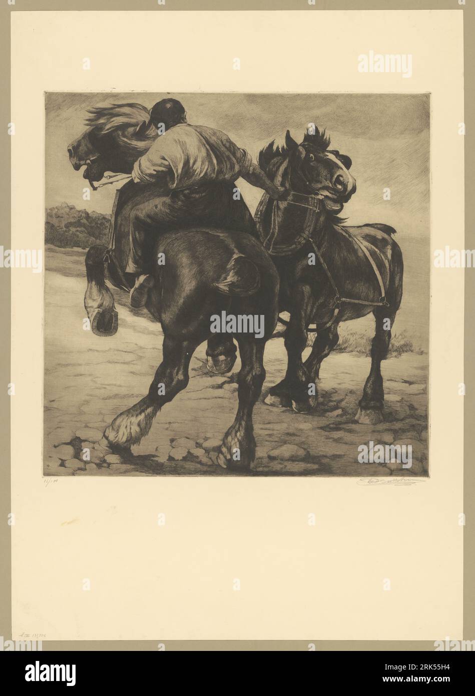 chevaux-deteles-hi-res-stock-photography-and-images-alamy