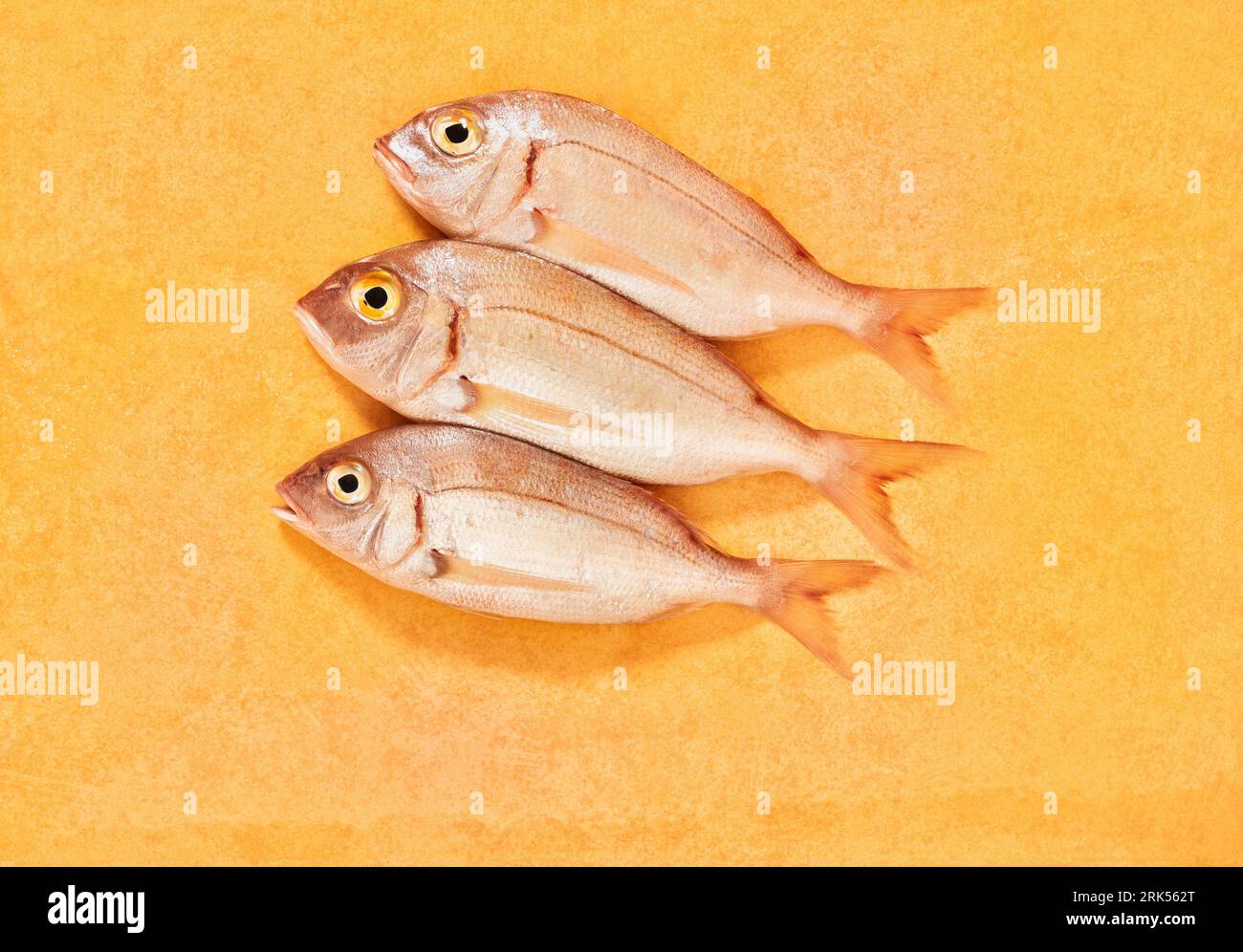 A top view of raw common pandora fish on an orange background Stock Photo