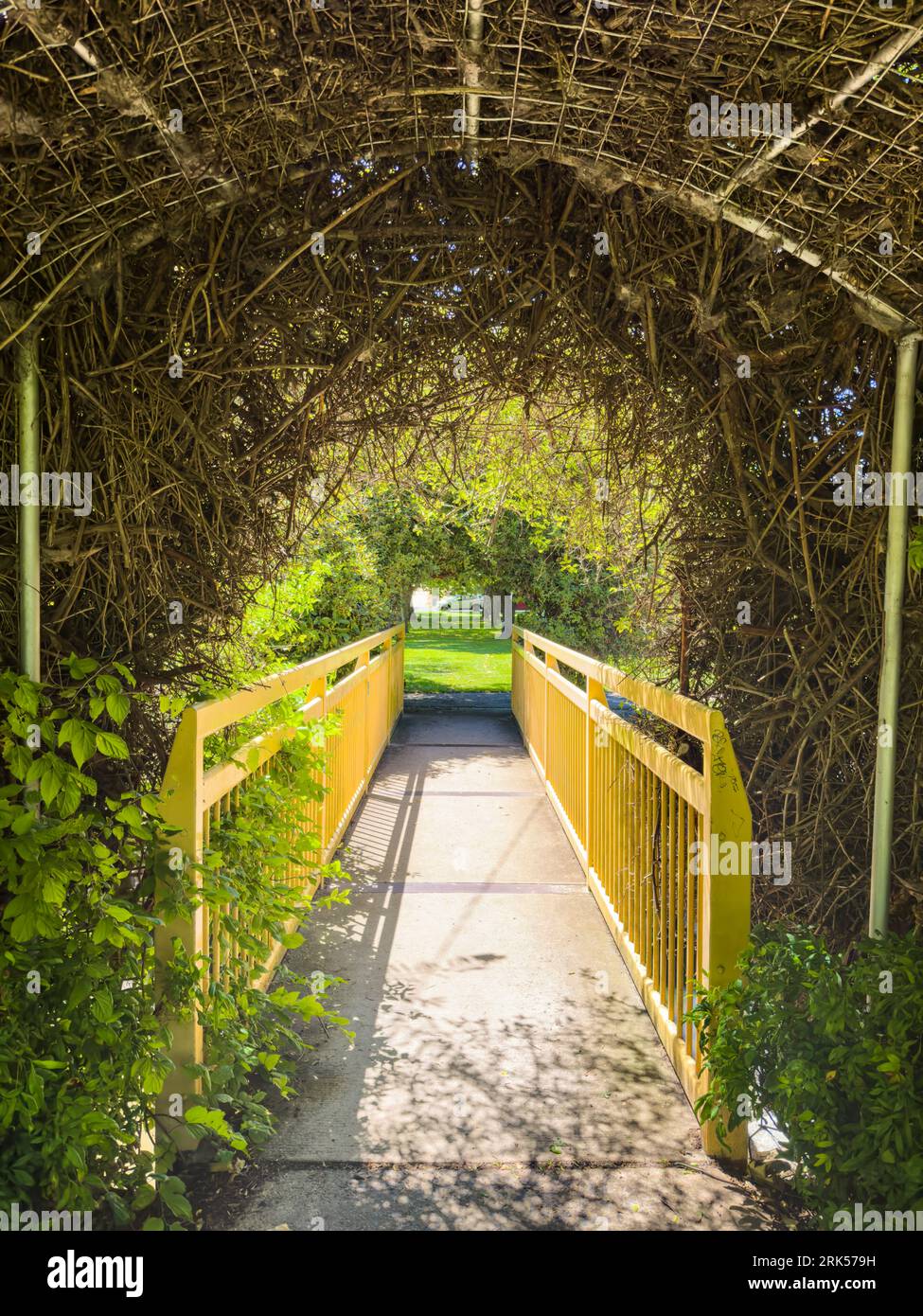 A walkway bridge in a park at Glen Innes, New South Wales, Australia ...