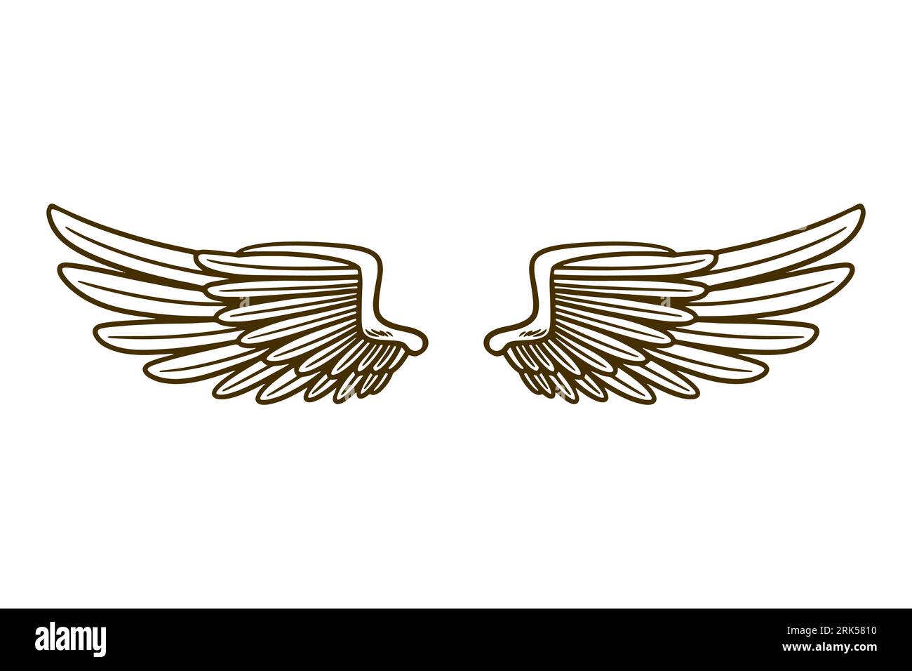 eagle wing vector illustration Stock Vector
