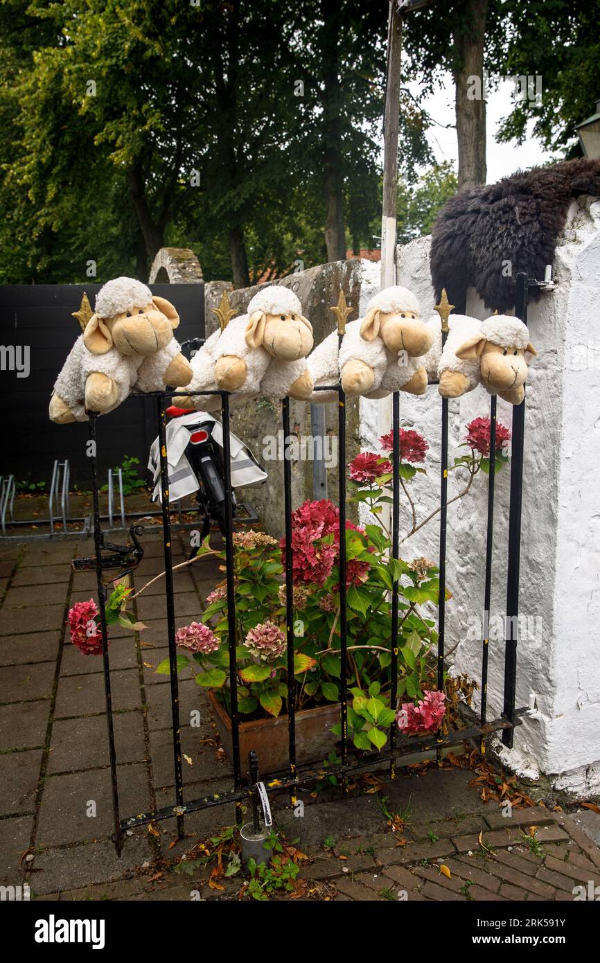 shop with products from sheep wool and sheepskin attracts customers with stuffed animals at the entrance, Veere, Walcheren, Zeeland, Netherlands.  Ges Stock Photo