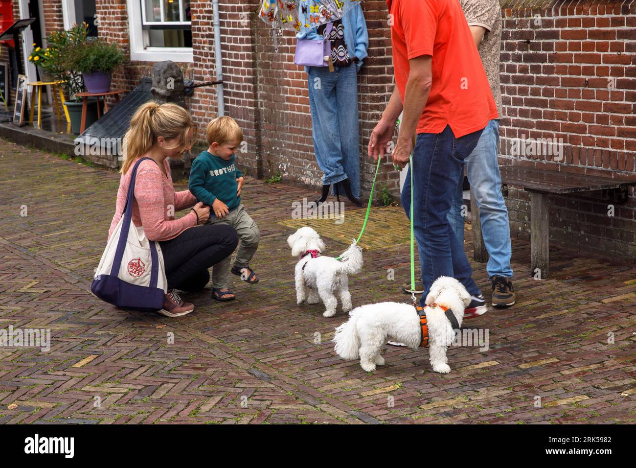 the village Veere on Walcheren, little boy meets dogs, Zeeland, Netherlands. der Ort Veere auf Walcheren, kleiner Junge begegnet Hunden, Zeeland, Nied Stock Photo