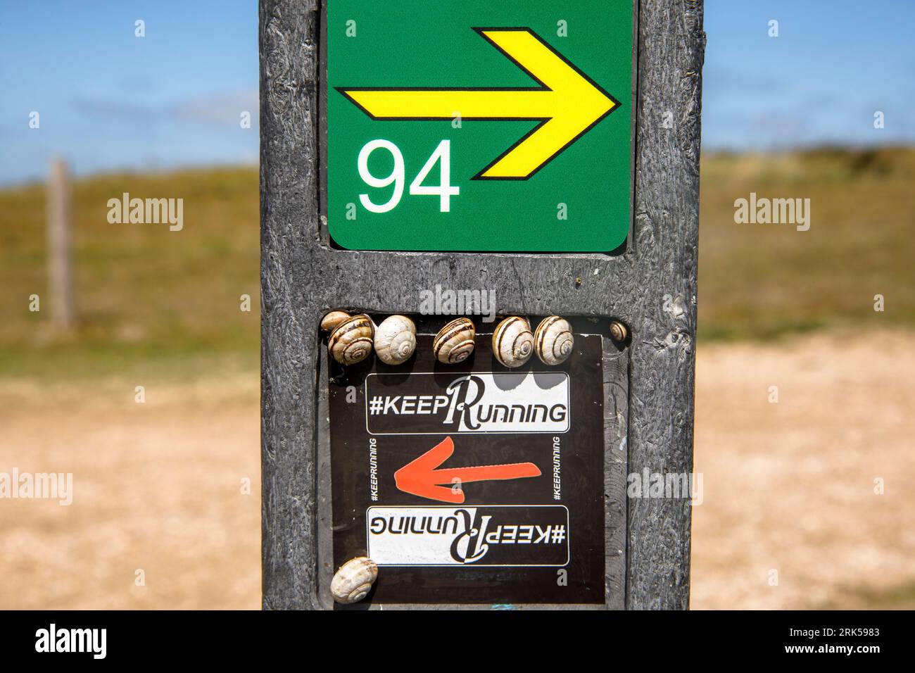 snails sitting on a signpost with a plaque Keep Running on a dune path near Domburg, Walcheren, Zeeland, Netherlands. Schnecken sitzen auf einem Wegwe Stock Photo