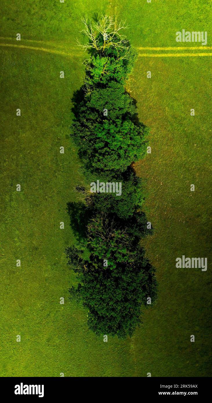 An aerial view of lush, green field with grass and trees Stock Photo ...