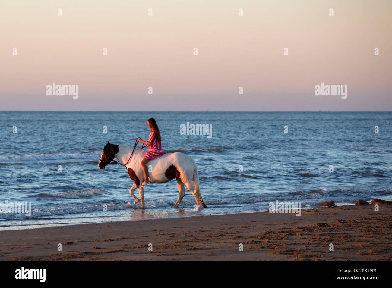 young woman on a horse at sunset on the beach of Oostkapelle on Walcheren, Zeeland, Netherlands. junge Frau auf einem Pferd bei Sonnenuntergang am Str Stock Photo
