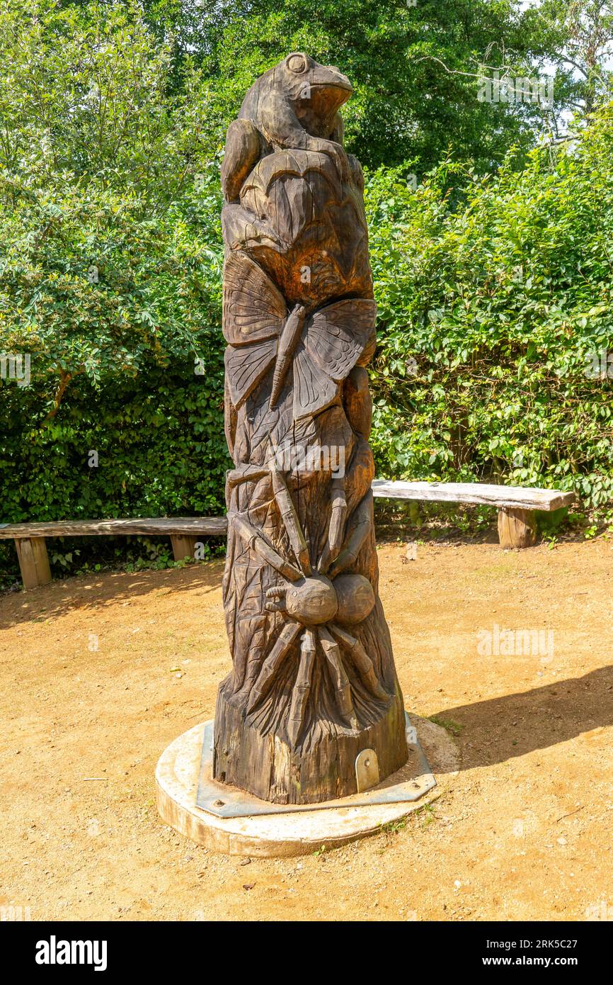 Carved wooden sculpture RSPB Wildlife Garden, Flatford, East Bergholt, Suffolk, England, UK Stock Photo