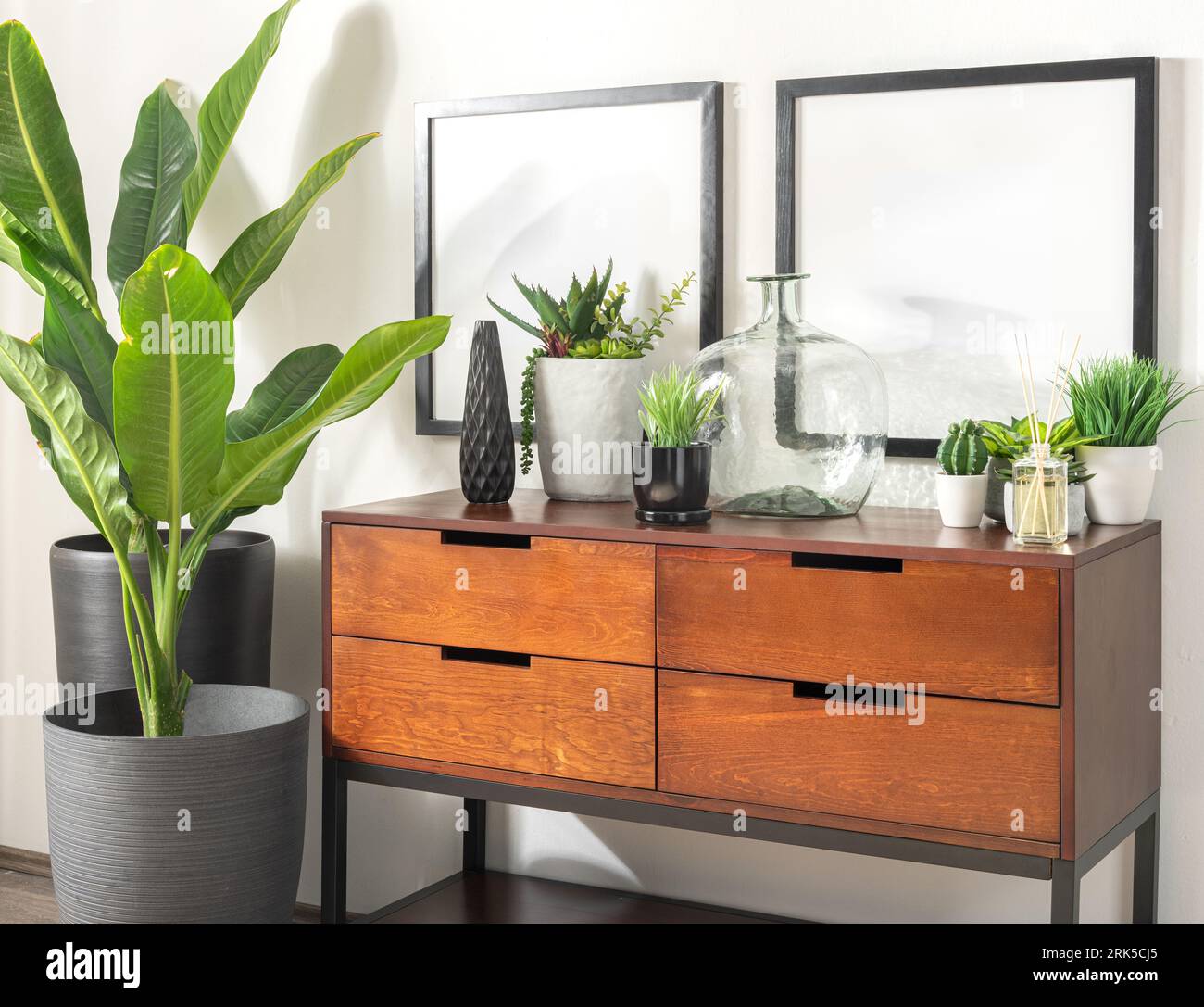 A wooden console table featuring a large potted plant with framed
