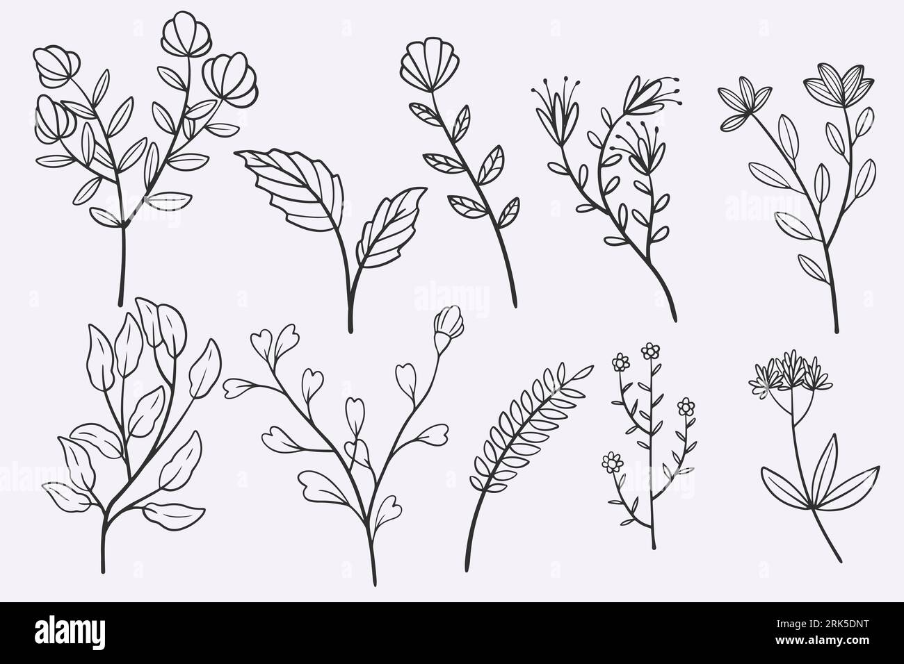 flower leaves doodle hand drawn vector illustration set Stock Vector