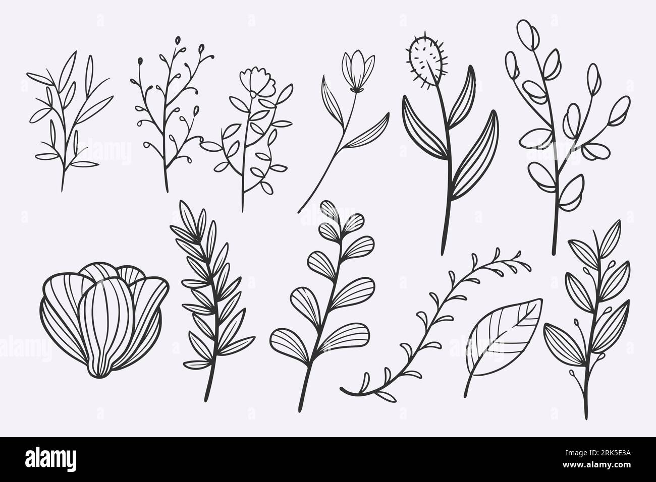 flower leaves doodle hand drawn vector illustration set Stock Vector ...