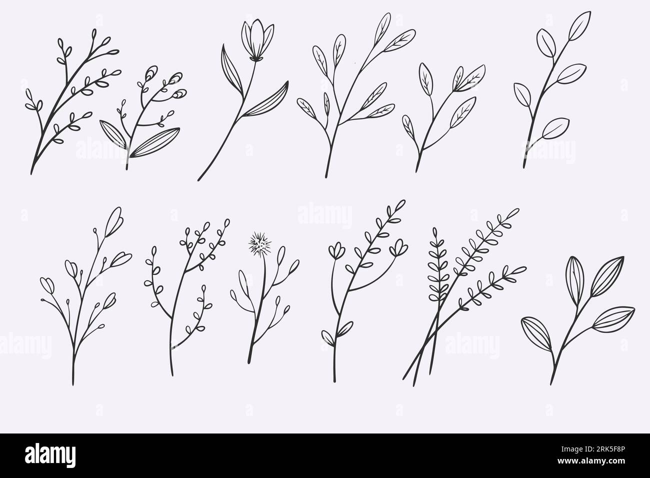 flower leaves doodle hand drawn vector illustration set Stock Vector ...
