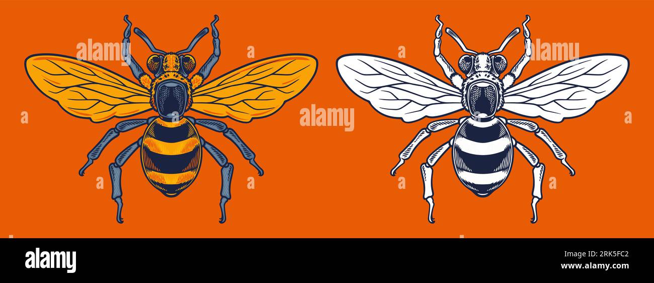wasp mascot vector illustration cartoon style Stock Vector